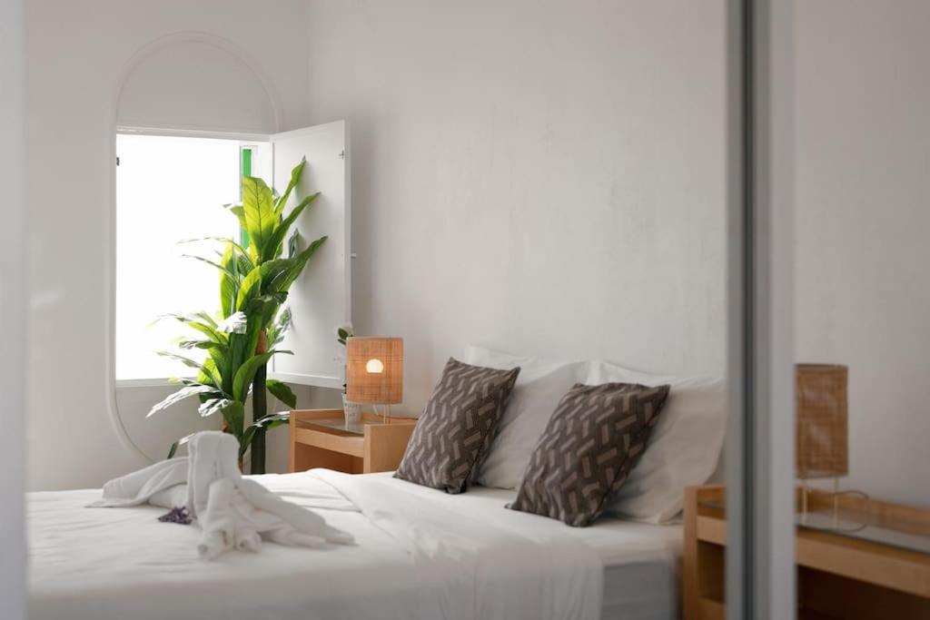 נאזרה Sunset Terrace - Beachfront Apartment With Private Parking מראה חיצוני תמונה